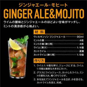 送料無料 ウィルキンソン ジンジャエール 辛口...の詳細画像2