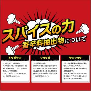 送料無料 ハウスウェルネス メガシャキ 100...の詳細画像5