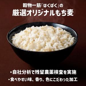 はくばく もち麦ごはん 800g ×1袋 大麦...の詳細画像4