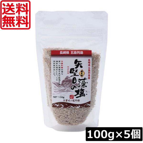 送料無料 やがため 矢堅目の藻塩 100g ×5個 添加物不使用