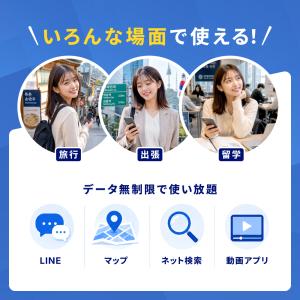 日本 国内 eSIM 100GB 365日 S...の詳細画像2