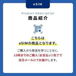 日本 国内 eSIM 100GB 365日 S...の詳細画像5