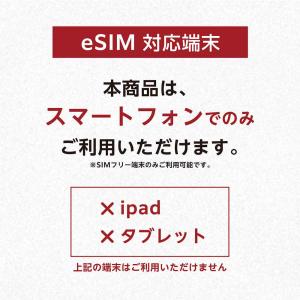 韓国 eSIM プリペイドSIM SIMカード...の詳細画像2