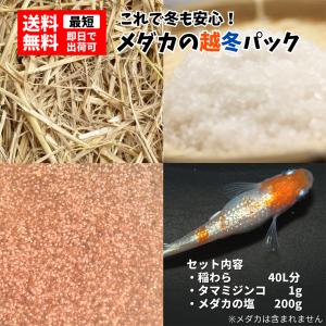 【送料無料】メダカ【メダカの越冬パック 40L用...の商品画像