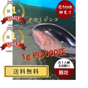 【送料無料】お一人様2点限り！ 初めての方にオススメ！ すごい売れてるタマミジンコ 約3000匹 グリーンウォーターのおまけ付き！