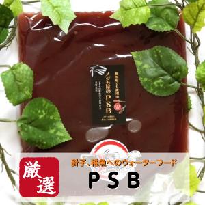 【300ml】メダカの餌 PSB【送料無料】めだか 生体 光合成細菌 ゾウリムシ ミジンコ PSB と同梱可能 生クロレラ同梱不可