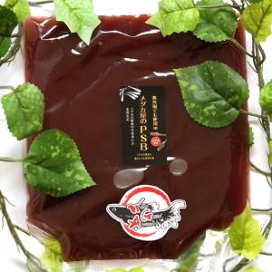 【300ml】メダカの餌 PSB【めだか】目高 生体 光合成細菌 ゾウリムシ ミジンコと同梱可能 生クロレラ同梱不可