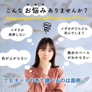 【500ml】メダカの餌 PSB【めだか】目高...の詳細画像4