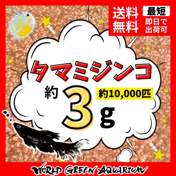 【送料無料】メダカ 餌【ミジンコ 3g】高品質タマミジンコ約10,000匹　めだか 生体 活餌 生き...