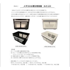 メダカ【ミプラス わけぷかブルー1個】青 水色...の詳細画像1