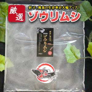 【900ml＋餌付き】メダカの餌 ゾウリムシ＋ゾウリムシの餌【送料無料】めだか 目高 生体 インフゾリア 針子 稚魚 生餌