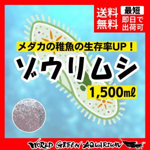 【送料無料】【ゾウリムシ1500ml】メダカ 餌 めだか ミジンコ PSB と同梱包可能 生クロレラ同梱不可｜高級メダカworld green aquarium