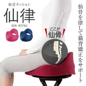 姿勢矯正座布団　新品同様 アルファックス 猫背矯正サポート 仙骨 クッション 仙律 座布団 姿勢