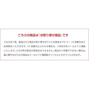 集音器 充電式 耳掛け式 左右 2個組 セット...の詳細画像4