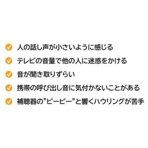 ニコン・エシロール デジタル耳あな型補聴器 左...の詳細画像5