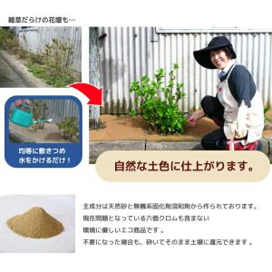 水をかけて固まる!魔法の土カチカチ君 カチカチ...の詳細画像5