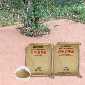 水をかけて固まる!魔法の土カチカチ君 2袋 カチ...の商品画像