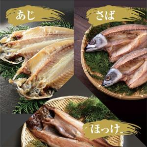 干物 骨まで食べられる 3種6枚 みりん味 国...の詳細画像1