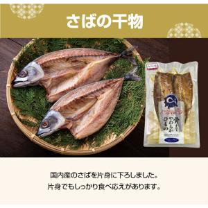 干物 骨まで食べられる 3種6枚 みりん味 国...の詳細画像3