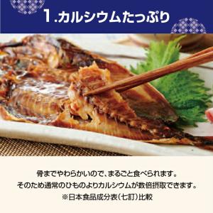 干物 骨まで食べられる 3種6枚 みりん味 国...の詳細画像5