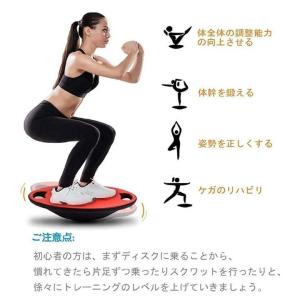 バランスボード ダイエット 体幹トレーニング エクササイズ