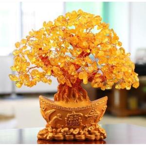 希少 大サイズ 風水 招財樹 金のなる木 黄水晶 シトリン