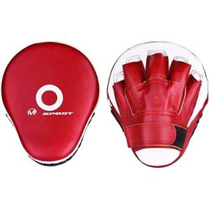 パンチングミット 2個セット ボクシング 空手 格闘技