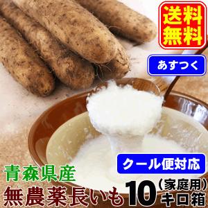 500円引き！ クール便対応  無農薬長いも ご家庭用 10キロ箱