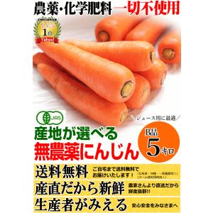 豊作還元★1580円〜 にんじん 人参 5kg...の詳細画像1