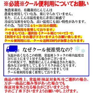 豊作還元★1580円〜 にんじん 人参 5kg...の詳細画像4