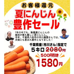 豊作還元★1580円〜 にんじん 人参 5kg...の詳細画像2