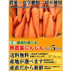 クーポン最大700円引き!にんじん 人参 5k...の詳細画像1