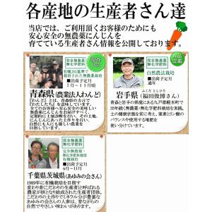 クーポン最大700円引き!にんじん 人参 5k...の詳細画像4