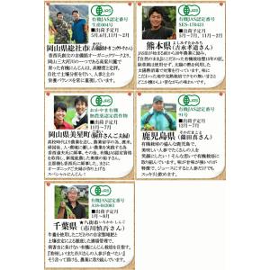 クーポン最大700円引き!にんじん 人参 5k...の詳細画像5