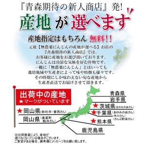 クーポン最大700円引き!にんじん 人参 10...の詳細画像3