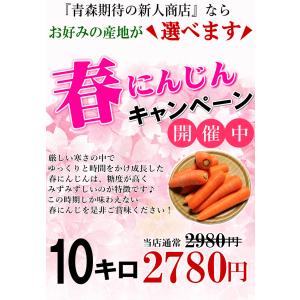 爆買!にんじん 人参 10kg 無農薬 人参 ...の詳細画像2