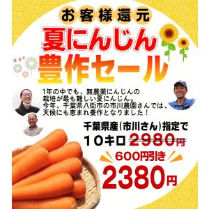 豊作還元★2380円〜 にんじん 人参 10k...の詳細画像2