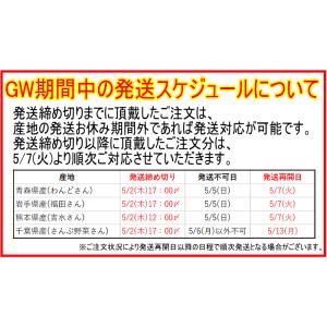 お試しセール あすつく 無農薬にんじん 10キ...の詳細画像2