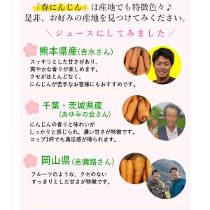 爆買!にんじん 人参 10kg 無農薬 人参 ...の詳細画像3