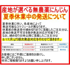 豊作還元★2380円〜 にんじん 人参 10k...の詳細画像3