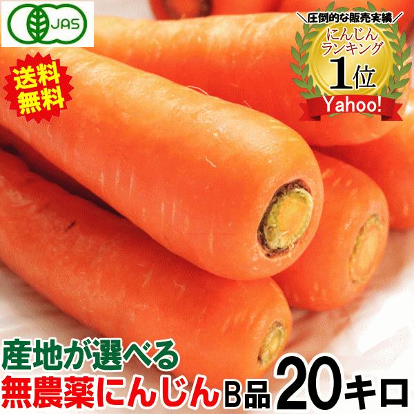 にんじん 人参 20kg (10kg×2個) 無農薬 人参 送料無料 訳あり 20キロ 有機人参 産...