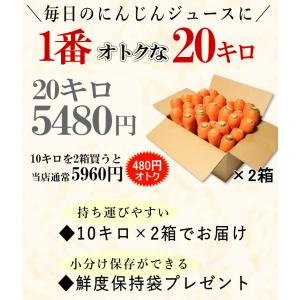 春にんじん 人参 20kg (10kg×2個)...の詳細画像3