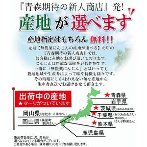クーポン最大700円引き にんじん 人参 20...の詳細画像4