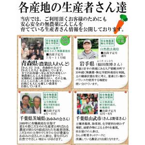 クーポン最大700円引き にんじん 人参 20...の詳細画像5