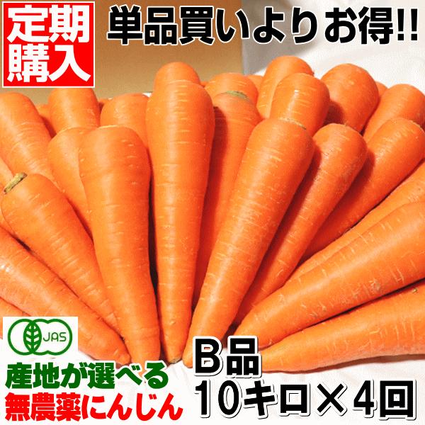 無農薬人参 ジュース用に最適 定期購入 産地が選べる無農薬にんじんＢ品10キロ×4回 計40キロ 訳...