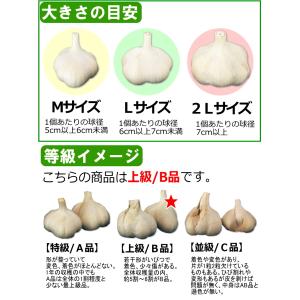 にんにく 青森 1kg 青森 Lサイズ厳選 B...の詳細画像2