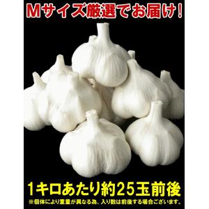 クーポンで10%引き【新物】にんにく 青森 1...の詳細画像4