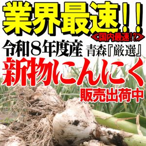 クーポンで10%引き【新物】にんにく 青森 1...の詳細画像2