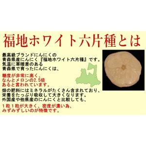 クーポン最大700円引き にんにく 青森 バラ...の詳細画像3