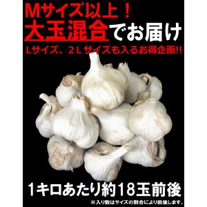 新物!にんにく 青森 1kg 送料無料 Mサイ...の詳細画像3